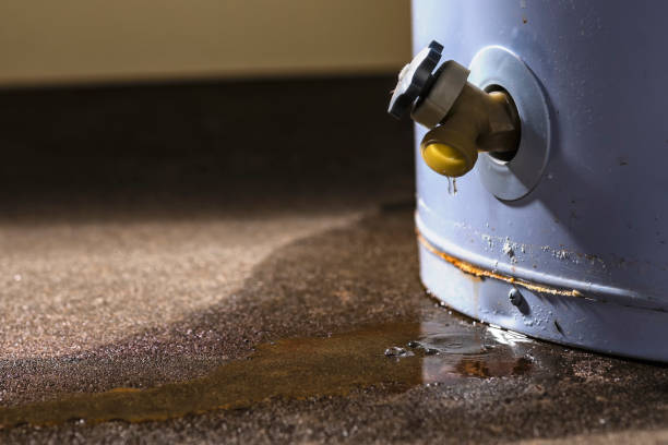 Best Flood restoration services  in Shallotte, NC