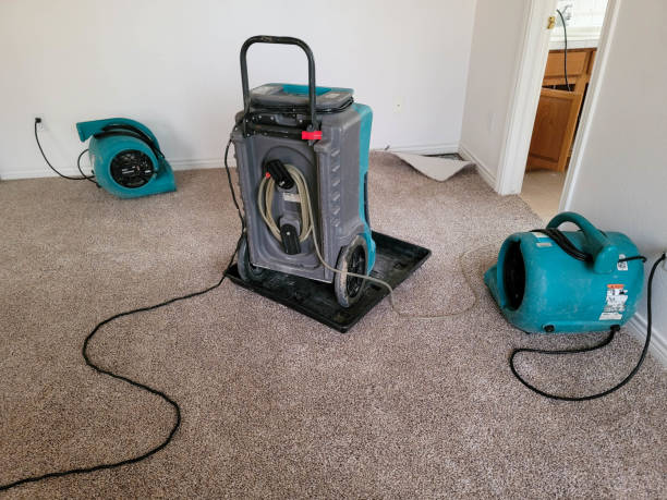 Best 24/7 water damage repair  in Shallotte, NC