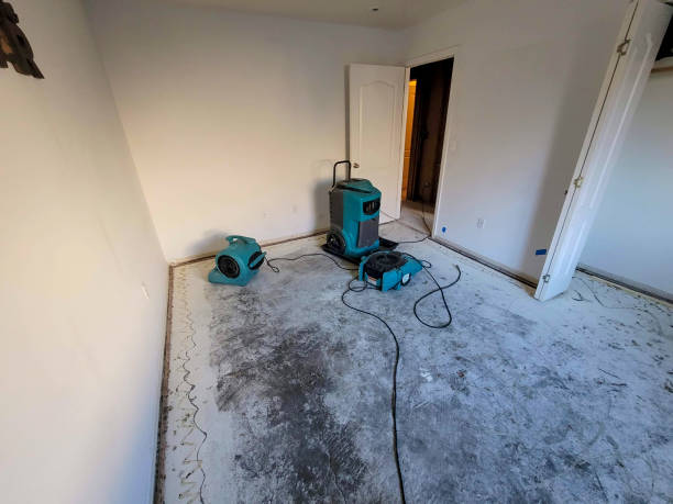 Best Local water damage restoration  in Shallotte, NC