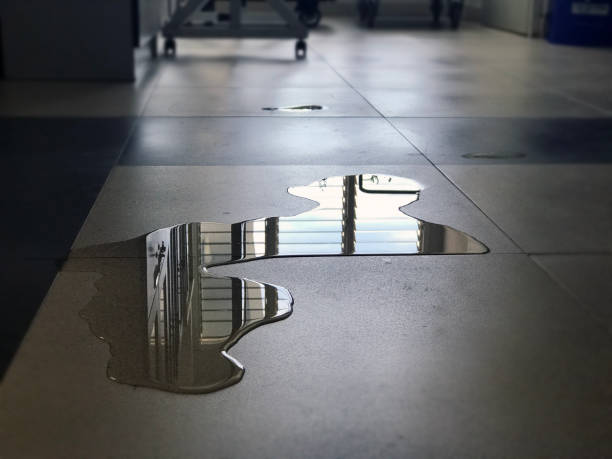 Best Carpet water damage restoration  in Shallotte, NC