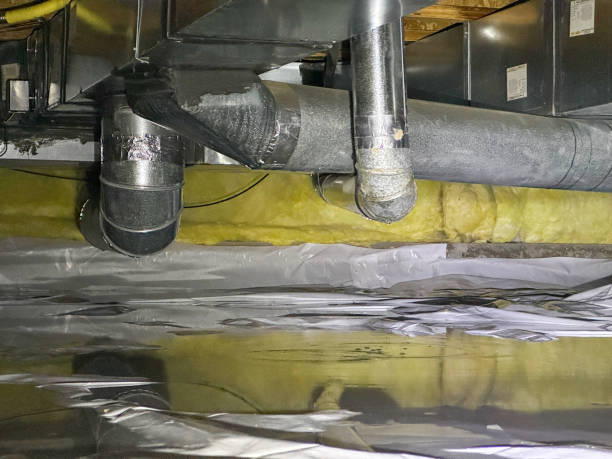 Best Flooded house restoration  in Shallotte, NC